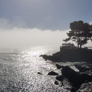 20190212_112421